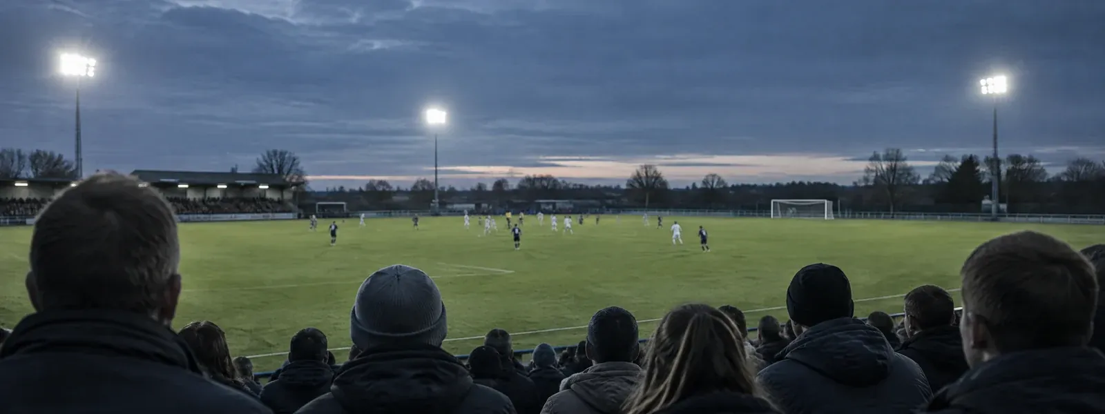 Publik vid en fotbollsmatch i kvällsljus