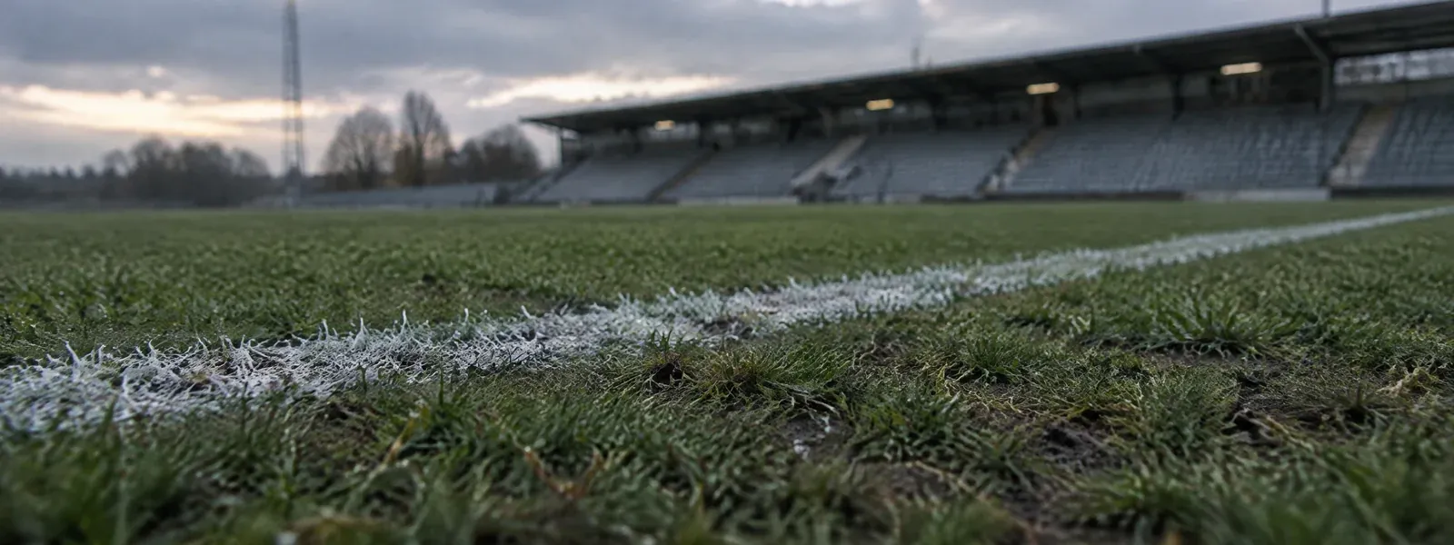 Gräsplan och läktare på en fotbollsstadion